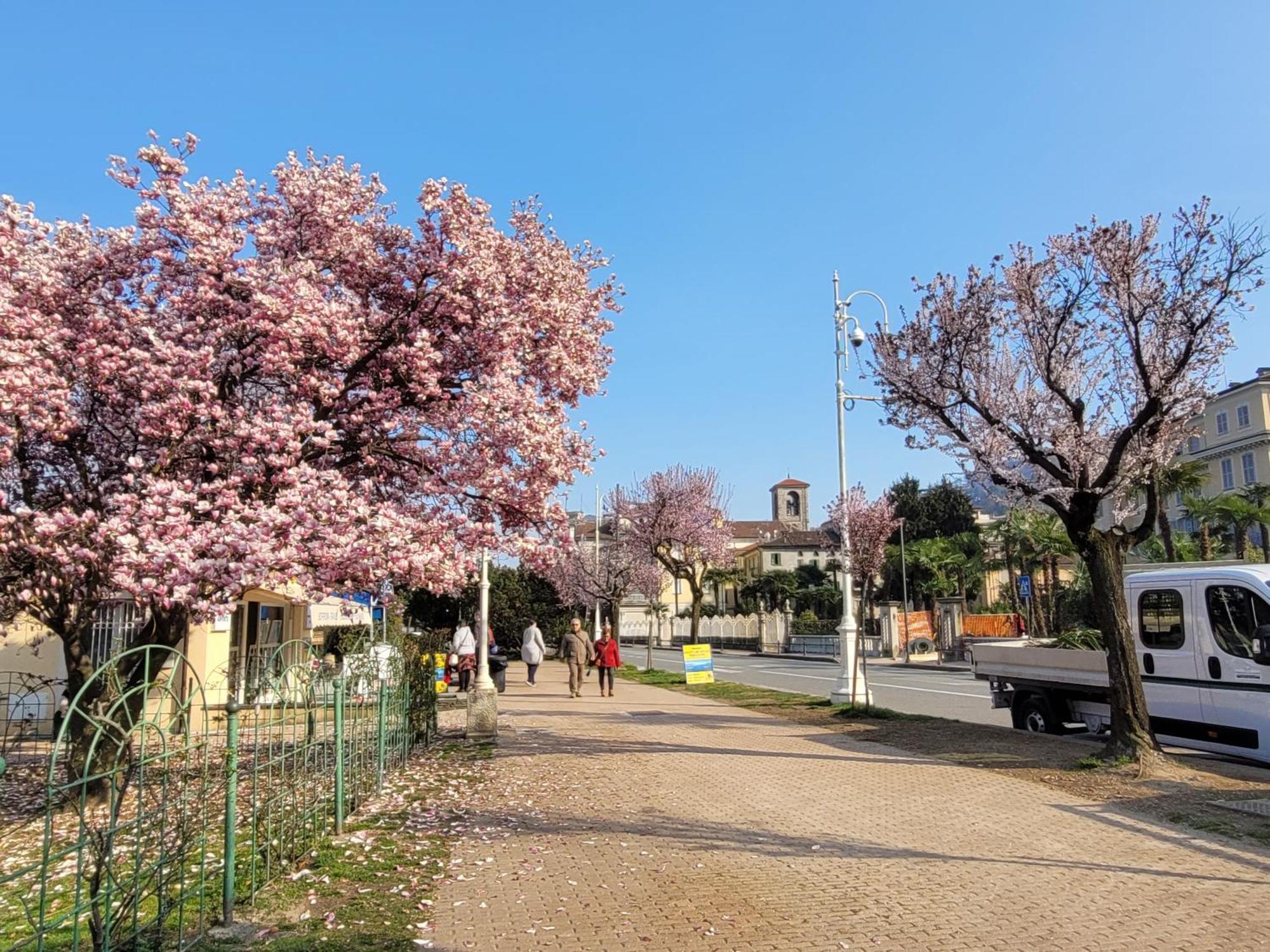 Al Dolce Vita Stresa Zewnętrze zdjęcie